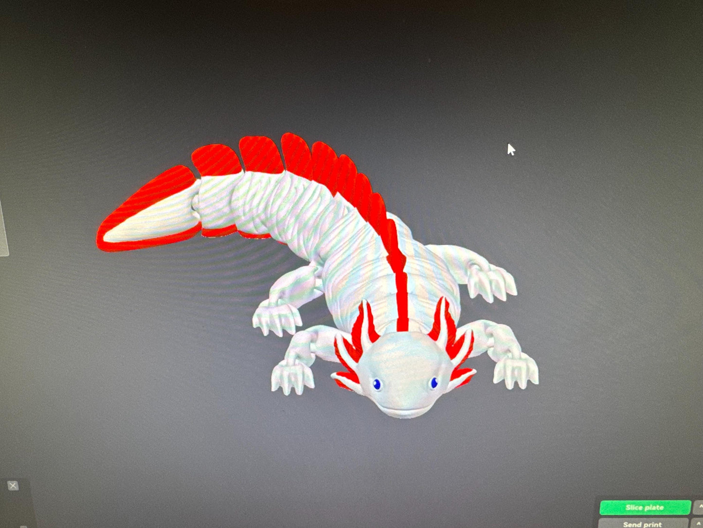 Adorable Red & White Axolotl Flexi Model - 3D Printed Articulated Salamander Toy for Desk Decor