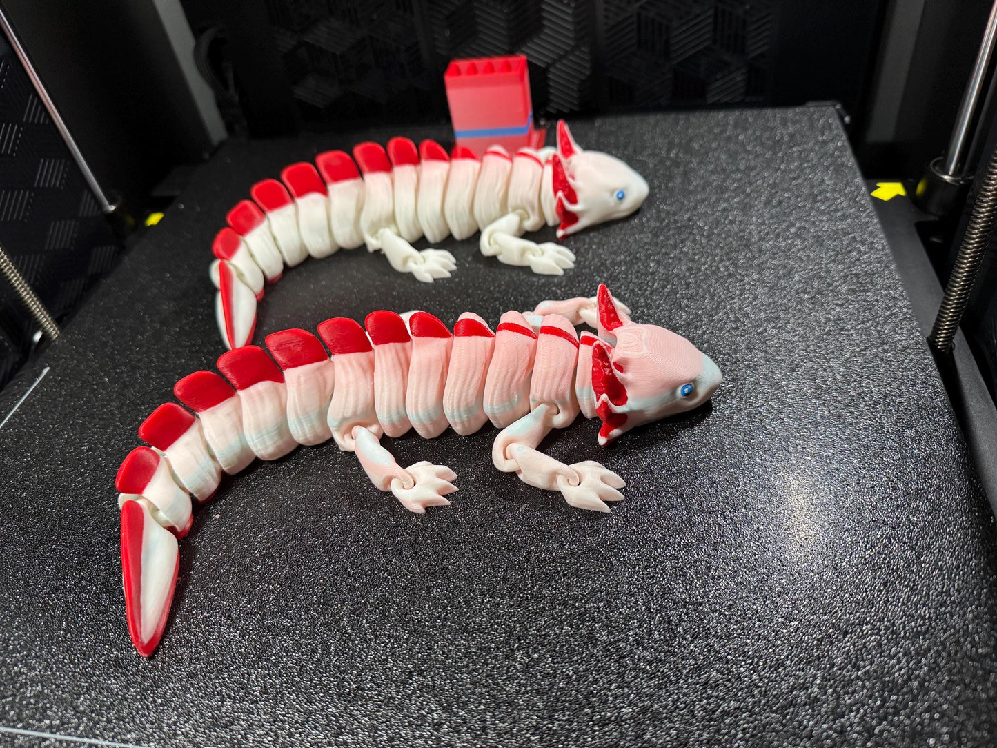 Adorable Red & White Axolotl Flexi Model - 3D Printed Articulated Salamander Toy for Desk Decor