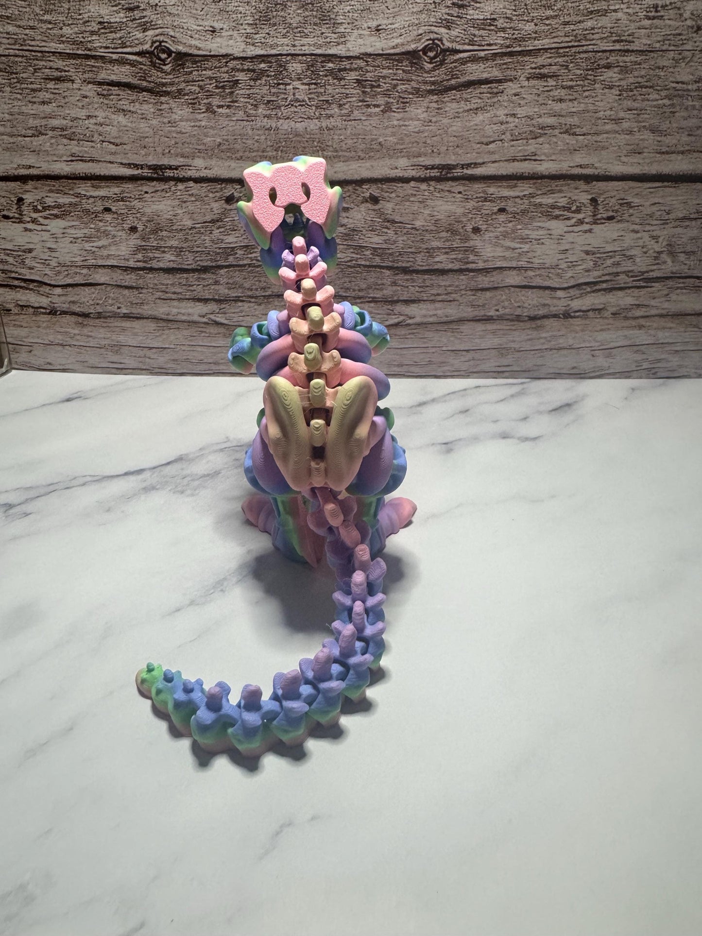 Articulated 3D Printed T-Rex Skeleton: Rainbow Flexi Dinosaur Toy, Jurassic Decor & Prehistoric Gift